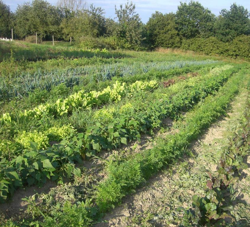 De La Ferme De Mesauboin *